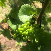 bf85d9e8-0185-47e4-8853-77f0c7498377